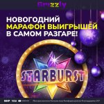 photo_2024-12-31_18-52-16.jpg photo_2024-12-31_18-52-16.jpg